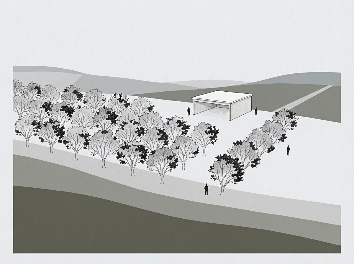 The structure stands within a perimeter of established trees in this graphite drawing where figures measure the distance between interior space and the field.